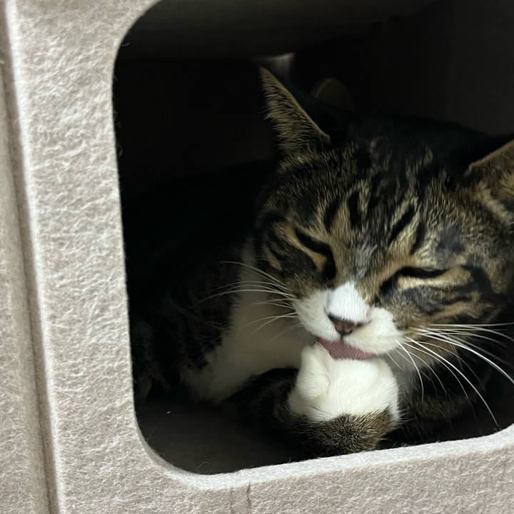 C0bc88f8 c04d 4c32 8784 7ee7d073a2e2 1769126001756