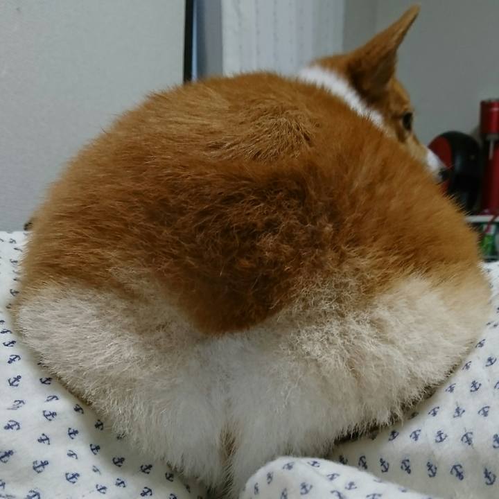 C0bc9076 2124 4066 ad7c 02226f31ee0c 1532871005473