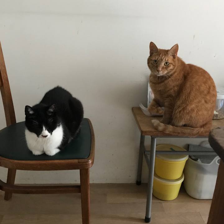 C0bcaef9 e1fc 4699 a03f 1ea254e50fe7 1526979686899