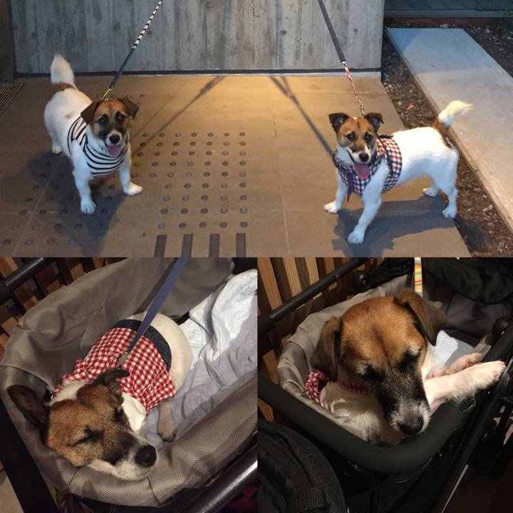 C0bcbcec ef8e 429d 9b7b 4e618b05bf51 1535378288618