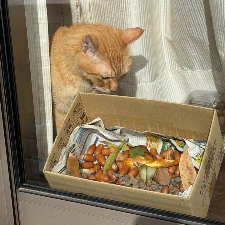 C0bd0f9e de09 47b3 9304 a94310b9cf4f 1761987653453