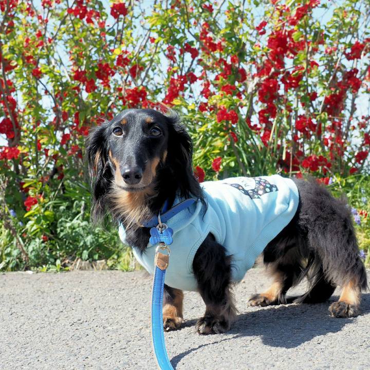 C0bd17f1 95bc 49f8 8781 d112cd8811b8 1522549341015