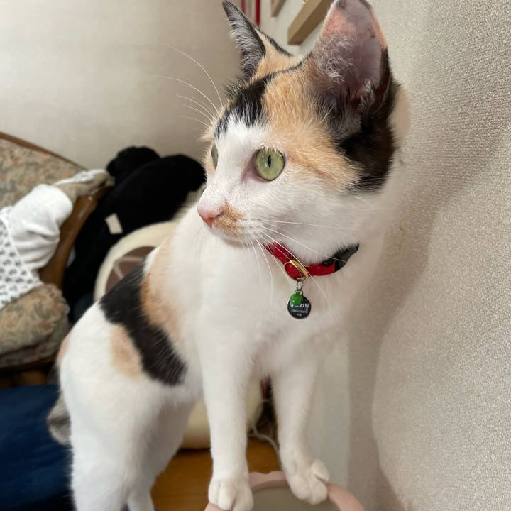 C0bd1fb2 4d32 4075 913b 290ae5202467 1710547385005