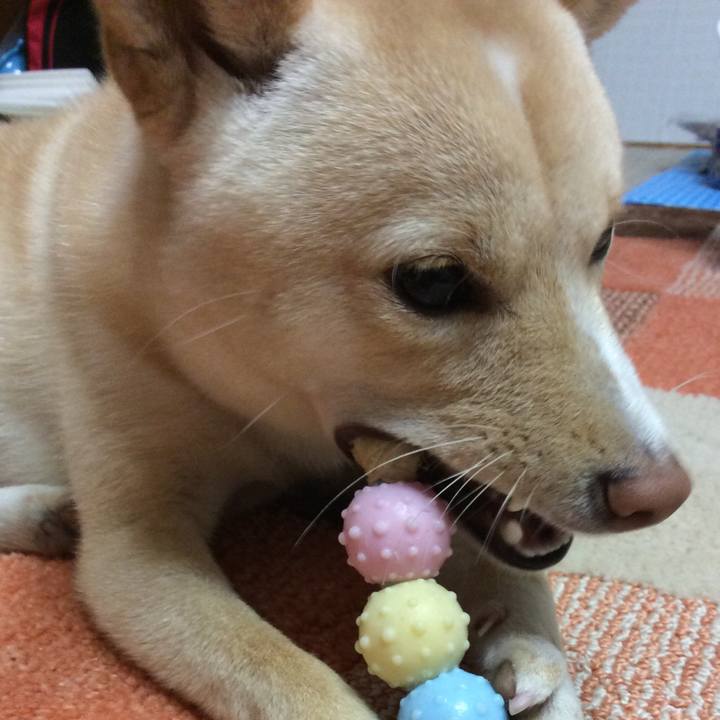 C0bd261c fc1a 4af2 9368 64a90206228d 1512028805667