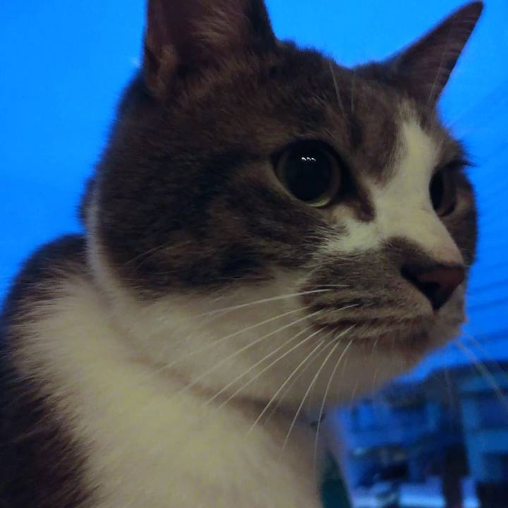 C0bd7989 283e 4259 ad7b 286ad0ea6045 1652696398428