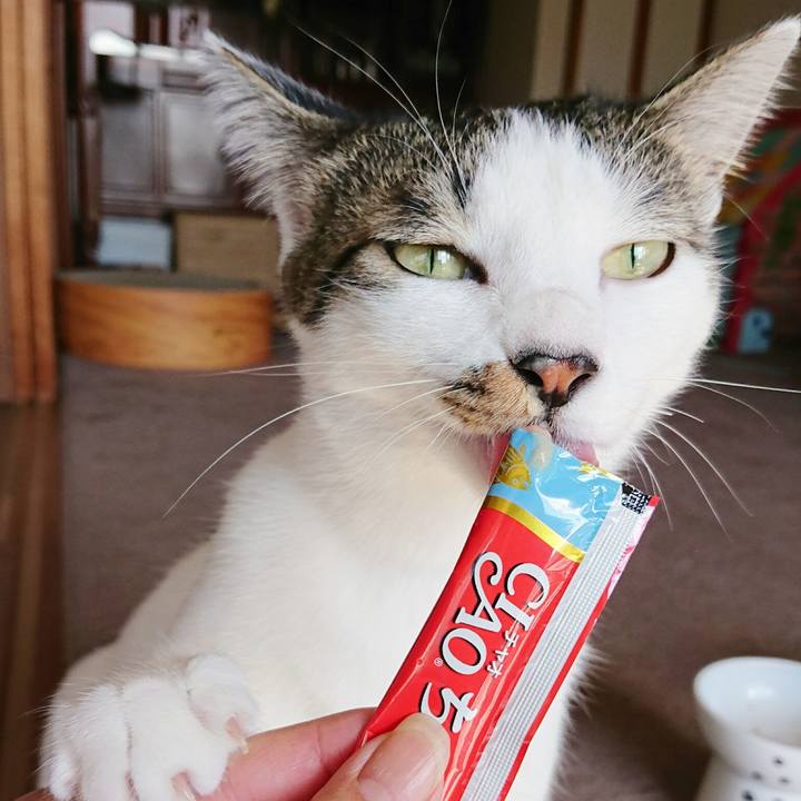 C0bd88c9 2cea 4656 a0ee 6377248bc848 1510193269177