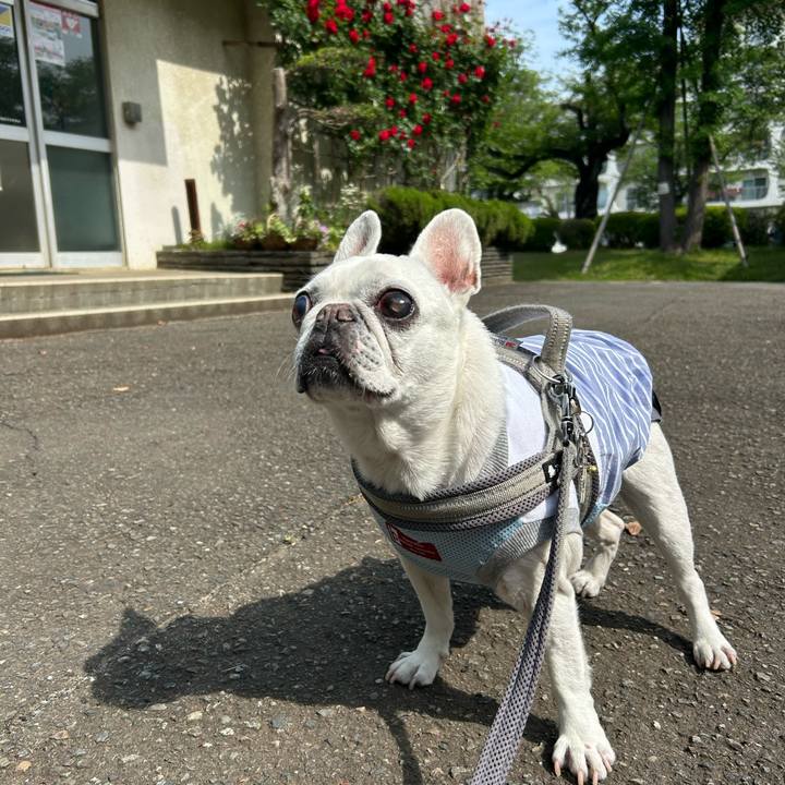 C0bdbd9c a8e2 4329 8a66 ee613eebea10 1746968963266