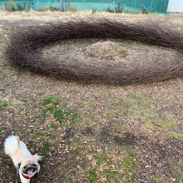 C0bdc566 3bbe 43dd 80dc 2ea253ecd2e6 1579846836750