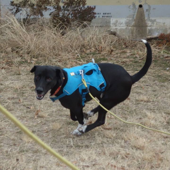 C0bdf5e3 9583 4745 b48d 8f6a39ddcb08 1610065654091