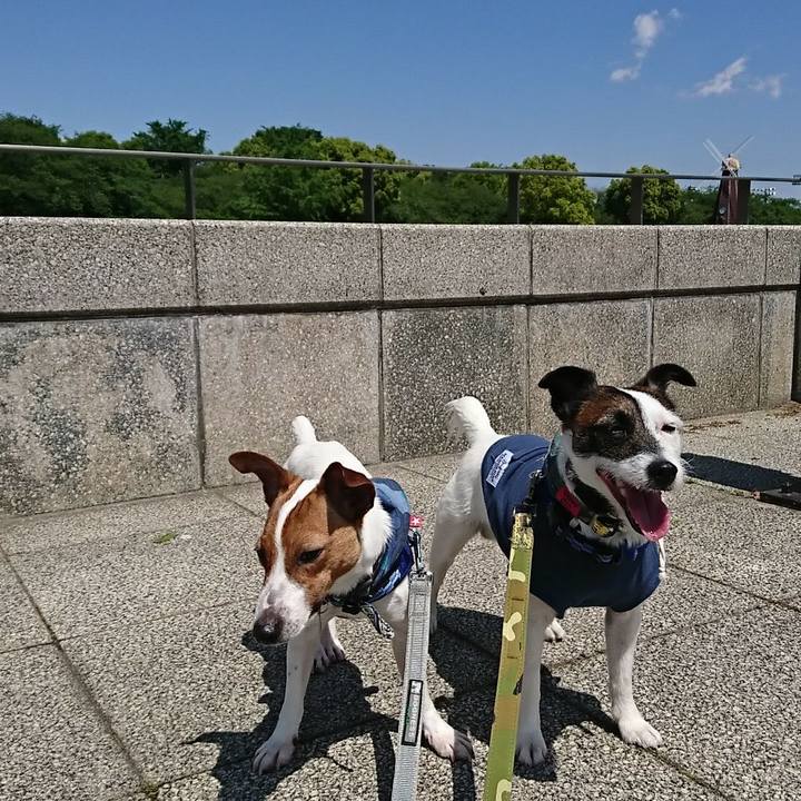 C0be30a7 09d9 457d beaf 643cf9416a59 1525397677183