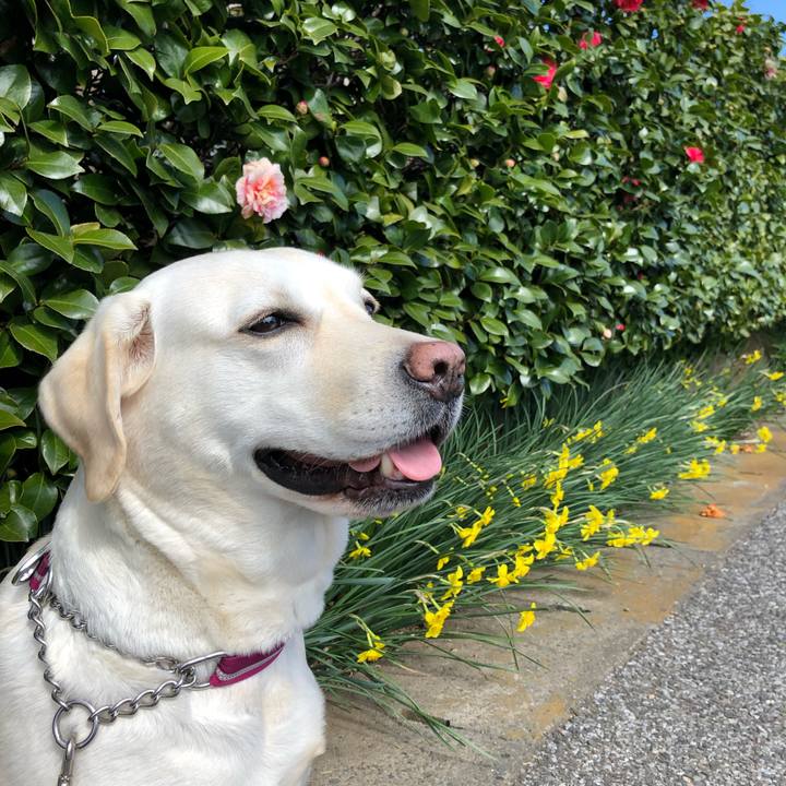 C0be4c6c 5f98 4995 b089 de841ee9e736 1583982849895