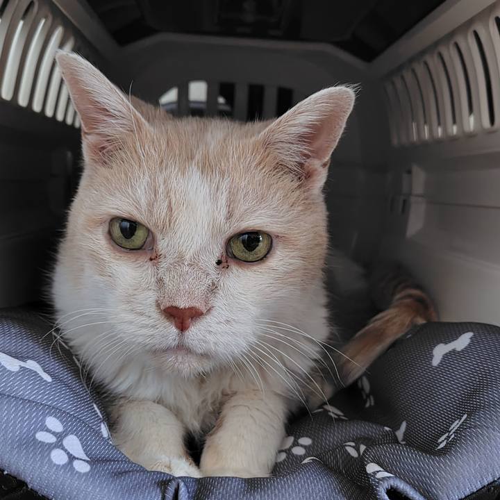 C0be5a19 6d40 4229 884f 9cffc69da7b3 1758233400276