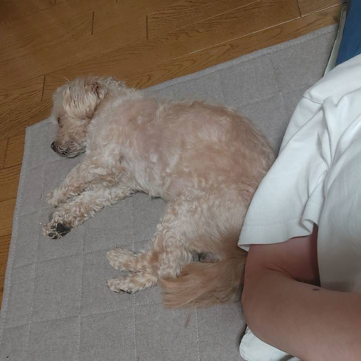 C0bedc6c 972e 45f9 ab60 2599c28281d1 1748070092364