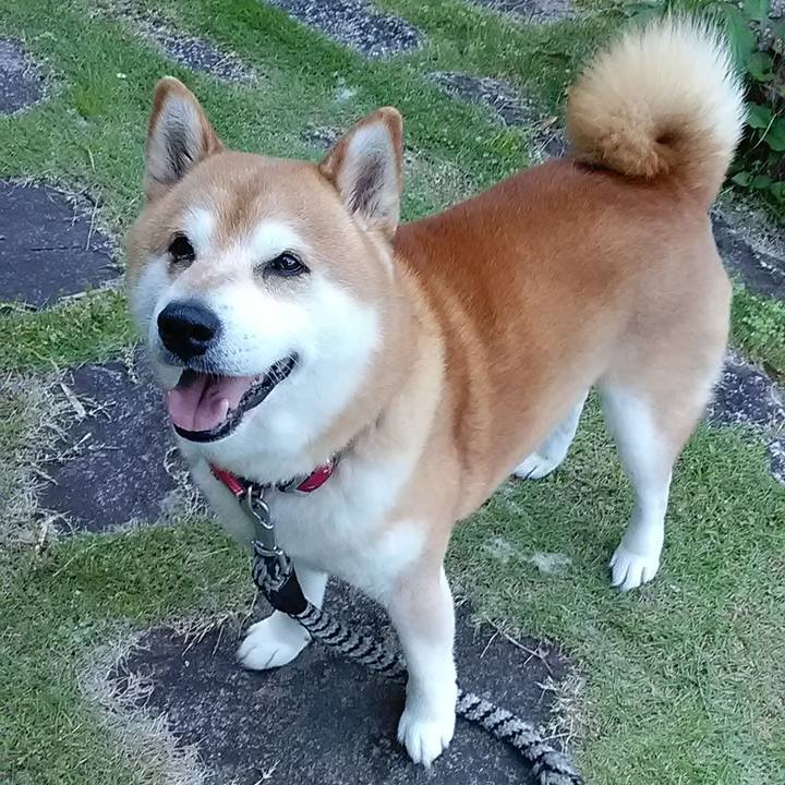 C0bef326 2291 4a17 ade4 6ab1b0a79b5a 1715730558834