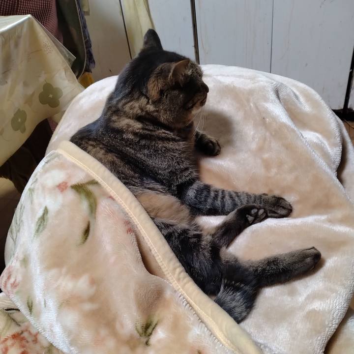 C0bf378f 8cdd 4395 9e6b a4d27085d969 1702986842167