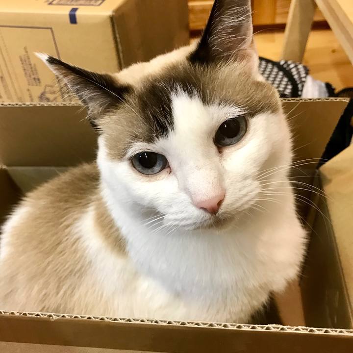 C0bf38c8 b707 4e16 94f0 beca882c134c 1573558618074