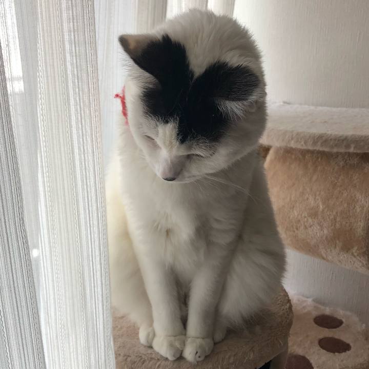 C0bf3c53 0fd8 4557 8c4e b96d9a74a743 1555737270247