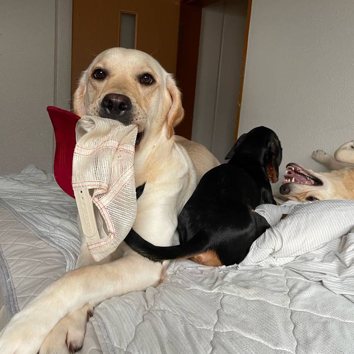 C0bf4957 bc99 4f92 aee8 d6e334f4adcf 1661216676528