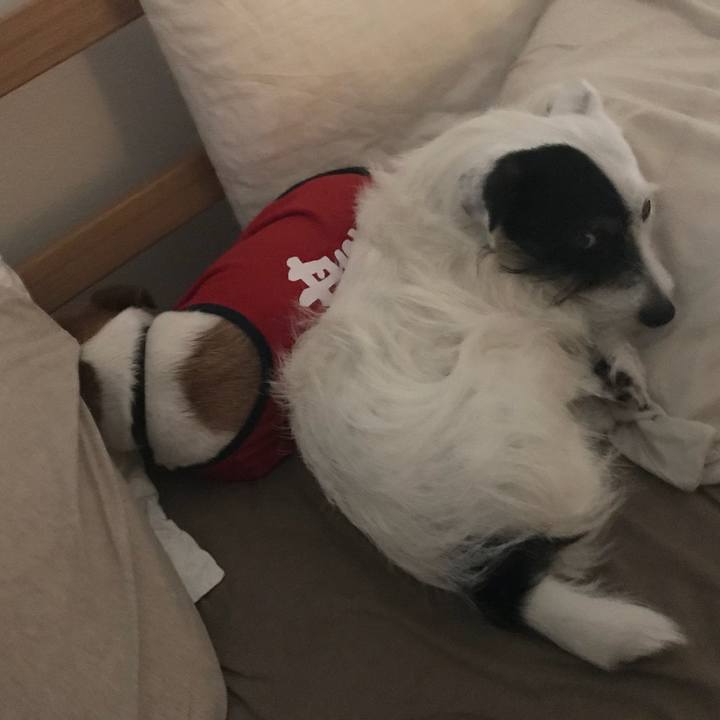 C0bf4a7f 947c 4ab6 ac1a bb20fde2f1df 1529331277281