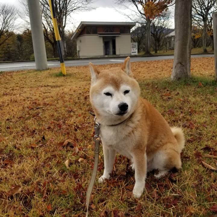 C0bf5020 1563 444a 9d7f e9340629e285 1700299357755