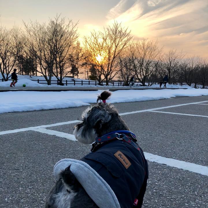 C0bf80b6 eb68 4eb8 8bbe 6a5bb4403b5e 1645876728274