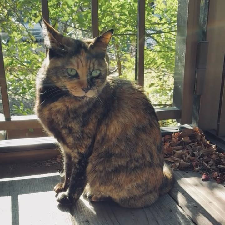 C0bf96e4 52af 4324 bbfb 59d909d1ab2a 1771447112039