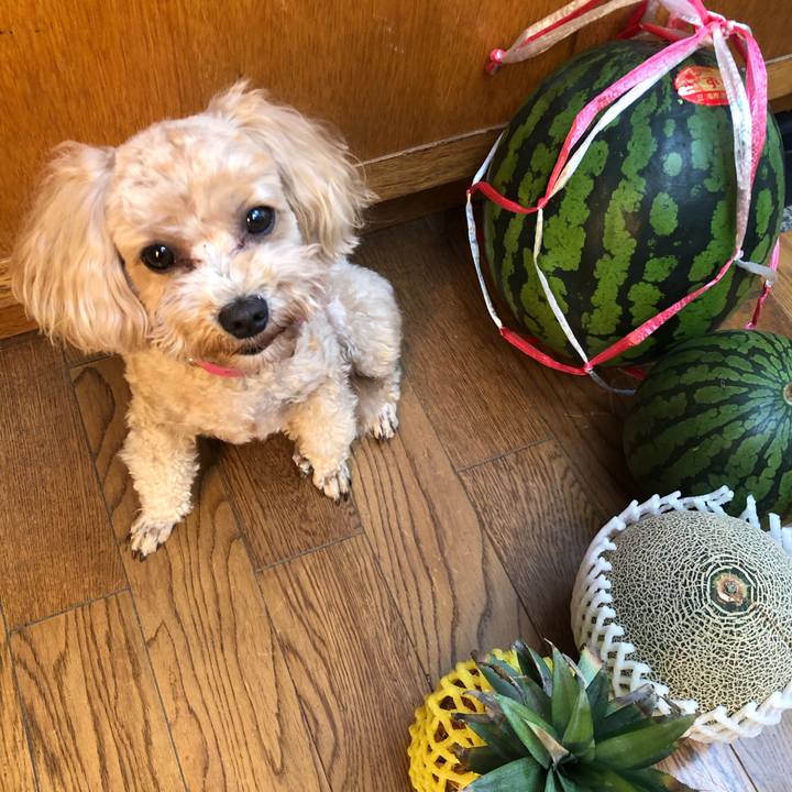 C0bfaba5 24ea 4089 a048 fc26e2049f19 1626567771784