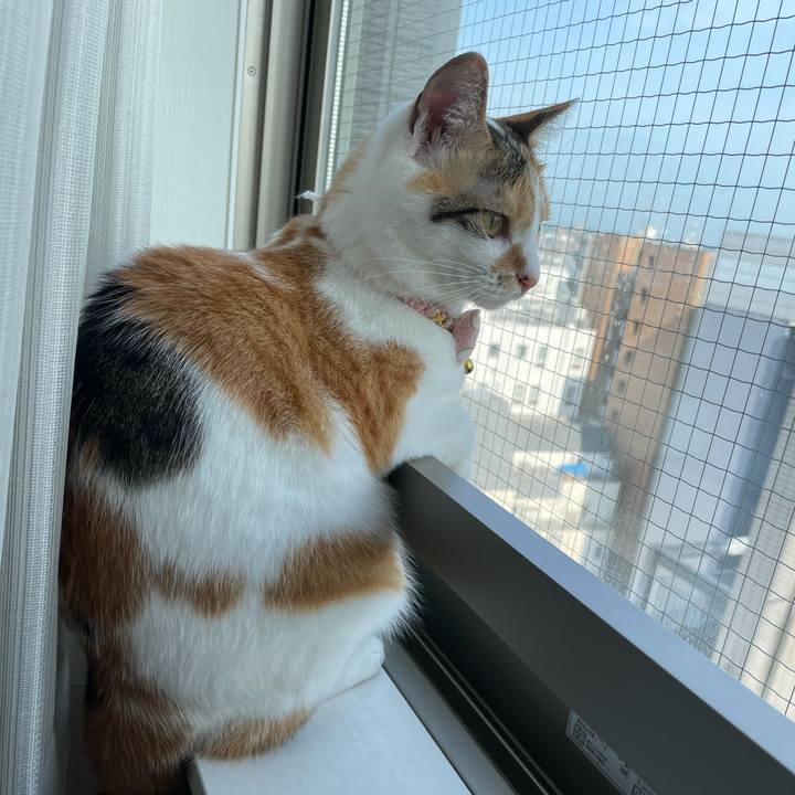 C0bfbc91 dabb 4c57 908e 4abe752053fd 1626046709774