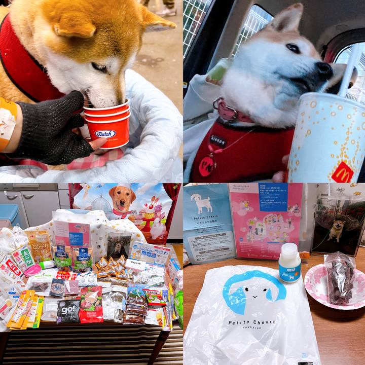 C0bfc80b c7e8 4a4a aead 7350cb1fd30e 1712412182962