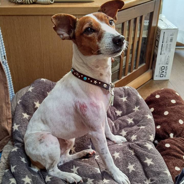 C0bfd257 9fa7 4211 95ae 2b1bd57f1f36 1671755055104