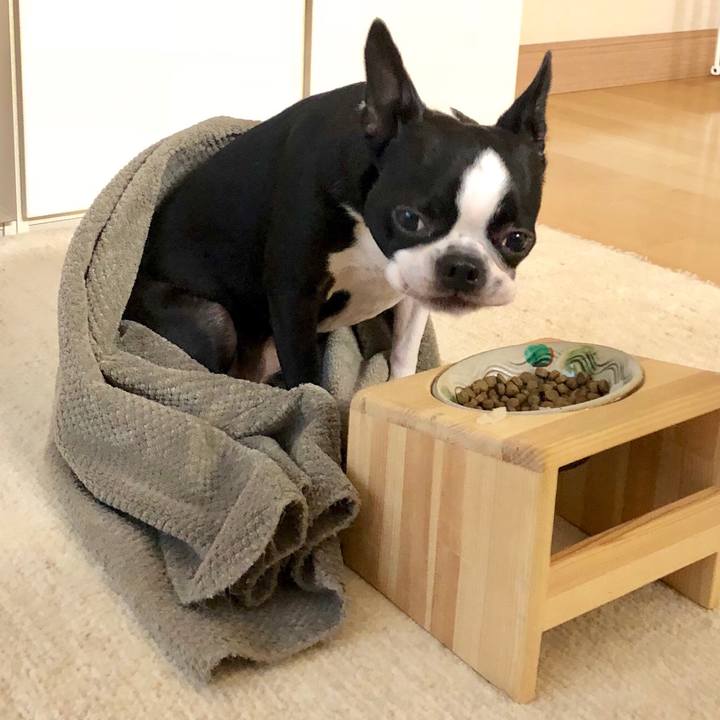 C0bfe325 d873 4fc4 a4a8 36155d4681a5 1534145851028