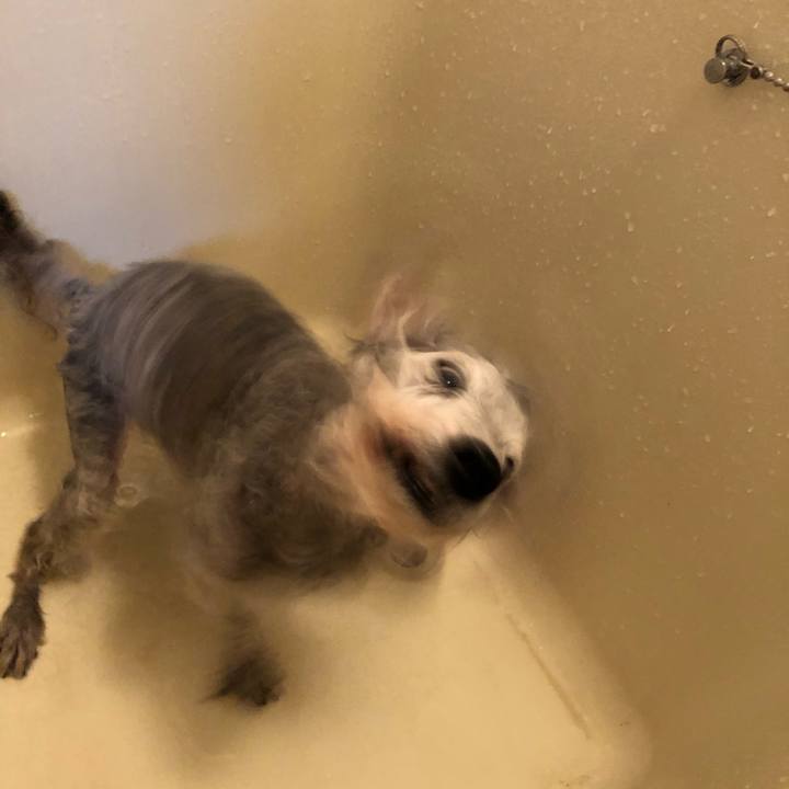 C0bfe9d0 62db 42aa 8559 81fff459f9aa 1655078108033