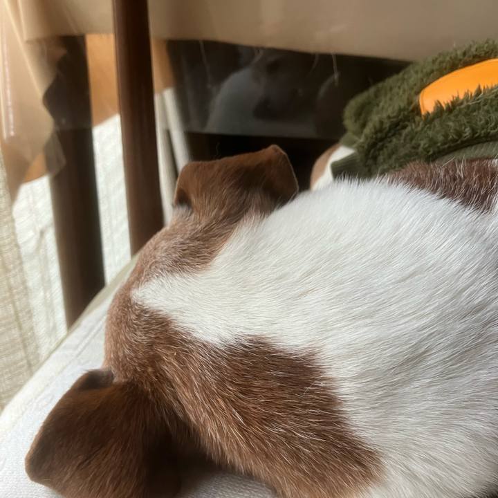 C0c01887 b608 46a1 ac64 97bd81371dc0 1767052976172