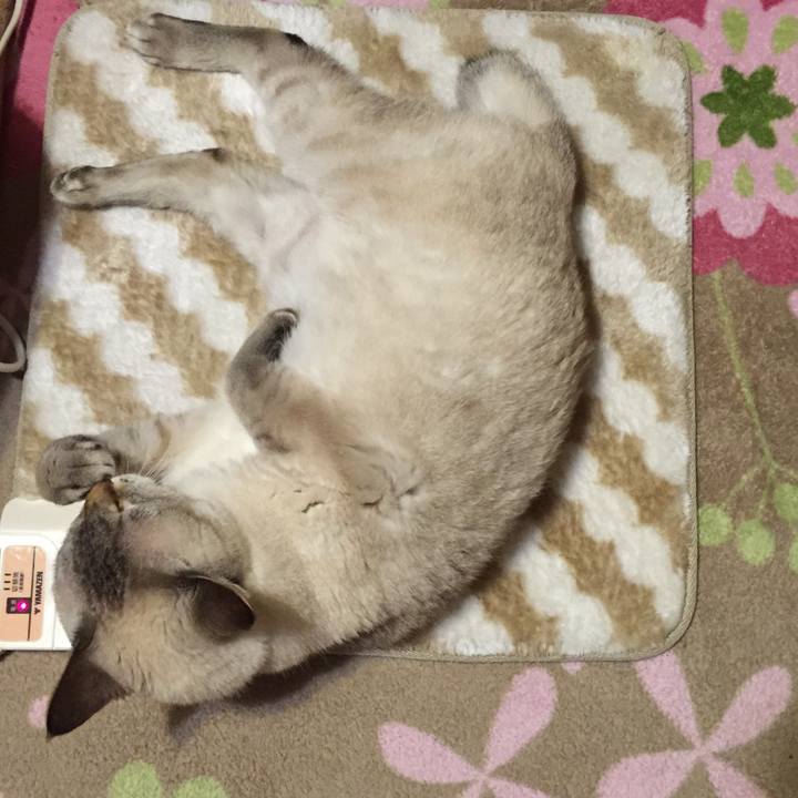 C0c028ed 2cb6 42a1 a562 6a86144cfea6 1540118115353