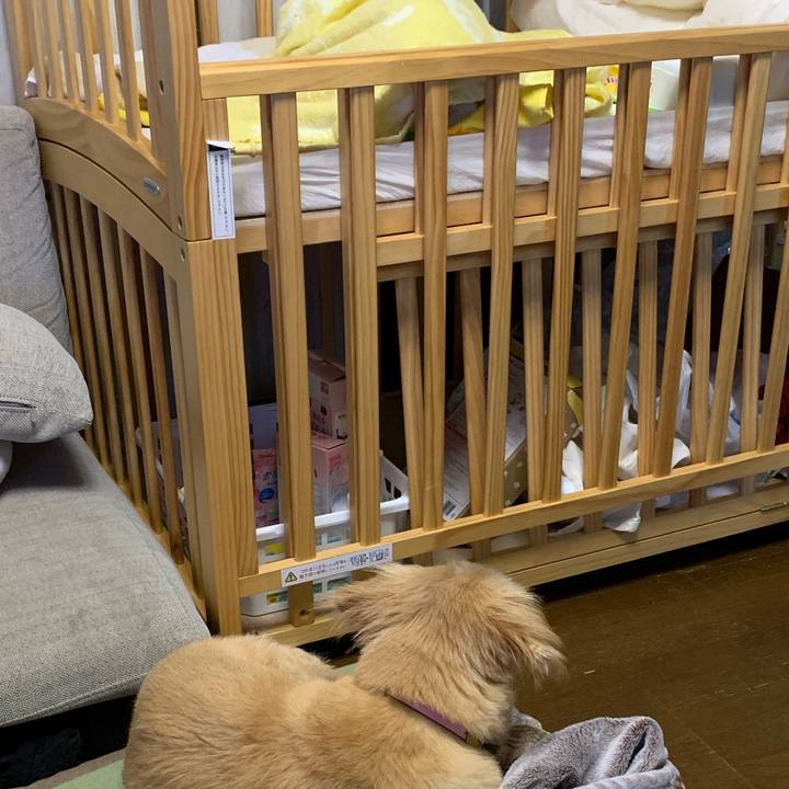 C0c0395c 1f1d 4974 ba18 e88e42611c3c 1571650621729