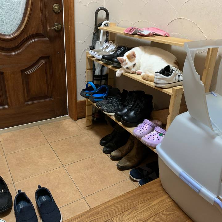 C0c03a7b 3d34 42ec 944a 8992445e502d 1603369114292