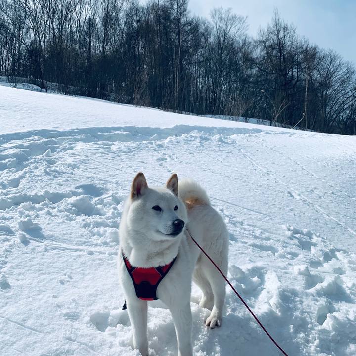 C0c03bfb 519b 41fb 8ec2 035a833eb4c8 1615169393799