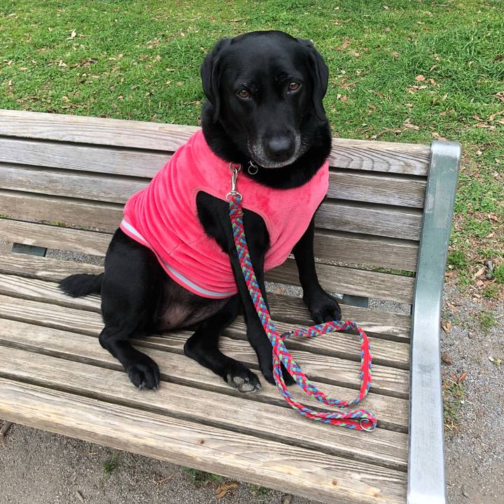 C0c0420f 03dd 4e38 9ccc f2961f9e4f1e 1521436541967