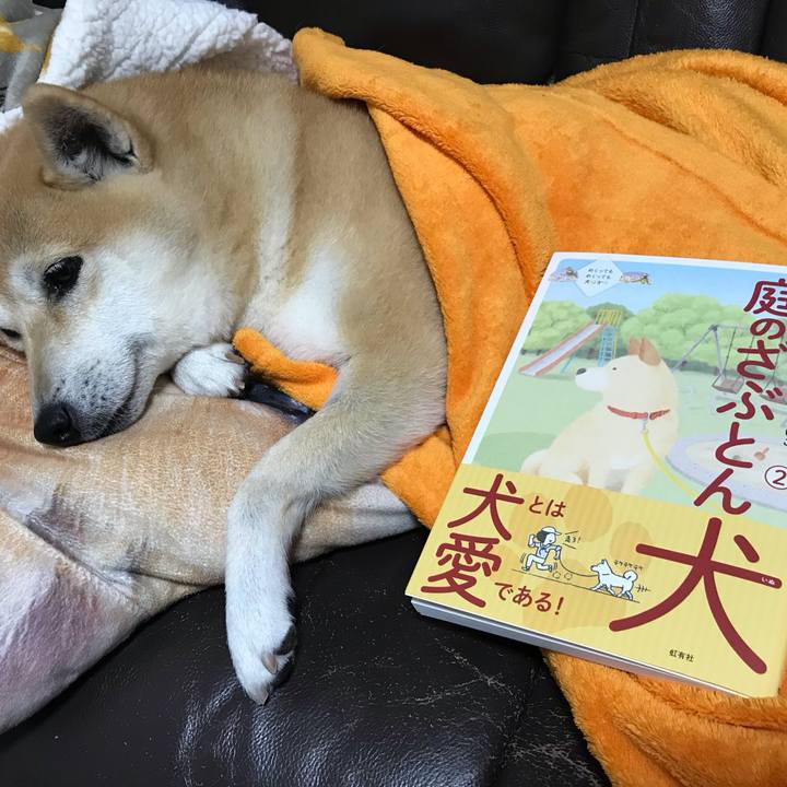 C0c09ead e433 4aa5 835b b11f5274e6d0 1544530931812