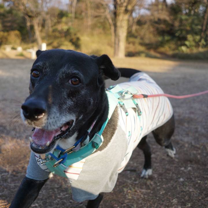 C0c0a437 e9dd 4eed 8349 1569579ba0e8 1770337122512