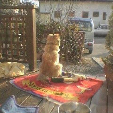 C0c0be3d 7b43 4a7e bee2 e4706463a59e 1552001595081