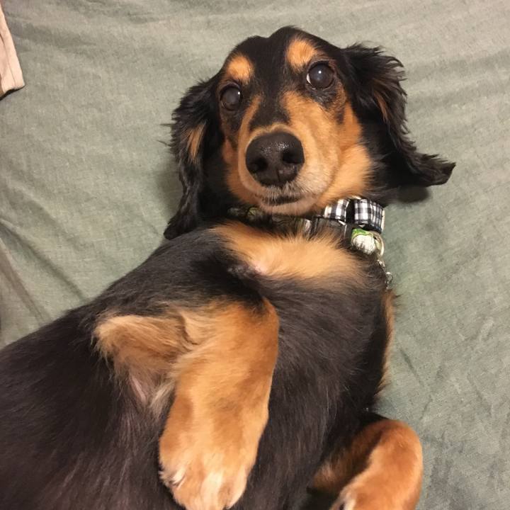 C0c0d324 2fd2 4152 b507 f48abfc802c0 1511101128603