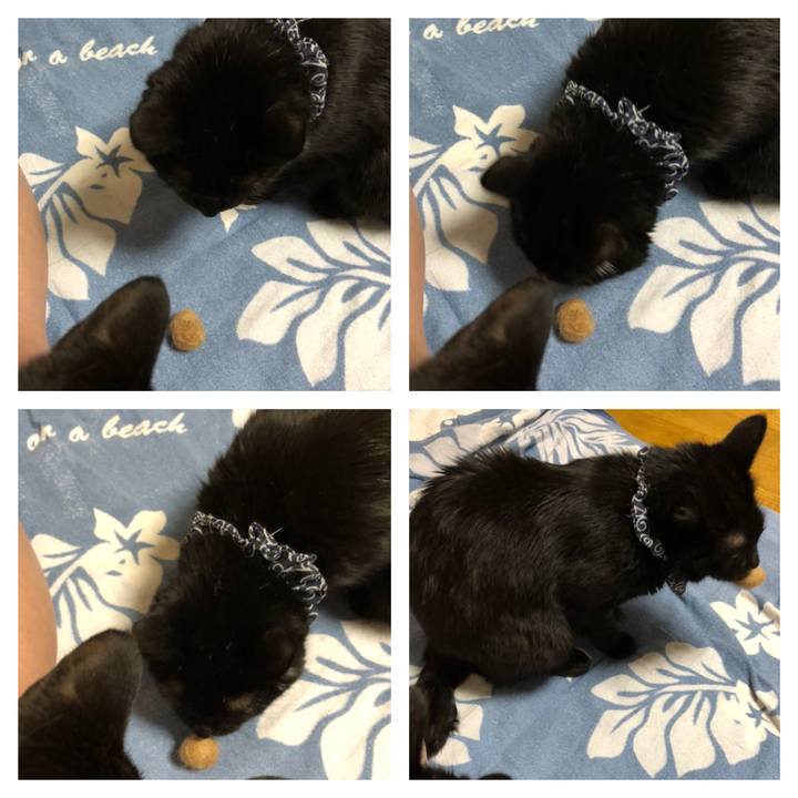 C0c0fa1b 86f0 46de 80e9 f640a8e7ffc8 1557570596998