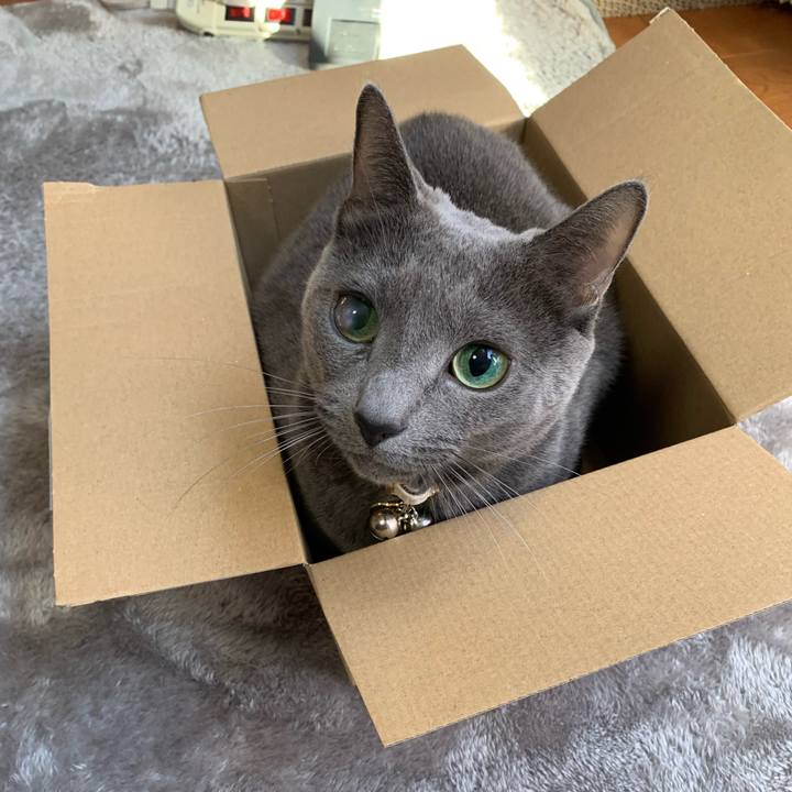 C0c0fd69 a9ce 42ab 8c01 3db7df245097 1671009007111