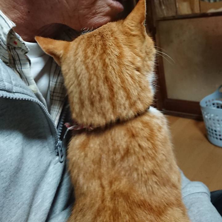 C0c1944f 06ba 4f95 a8e2 f7254608e6d8 1605210465836