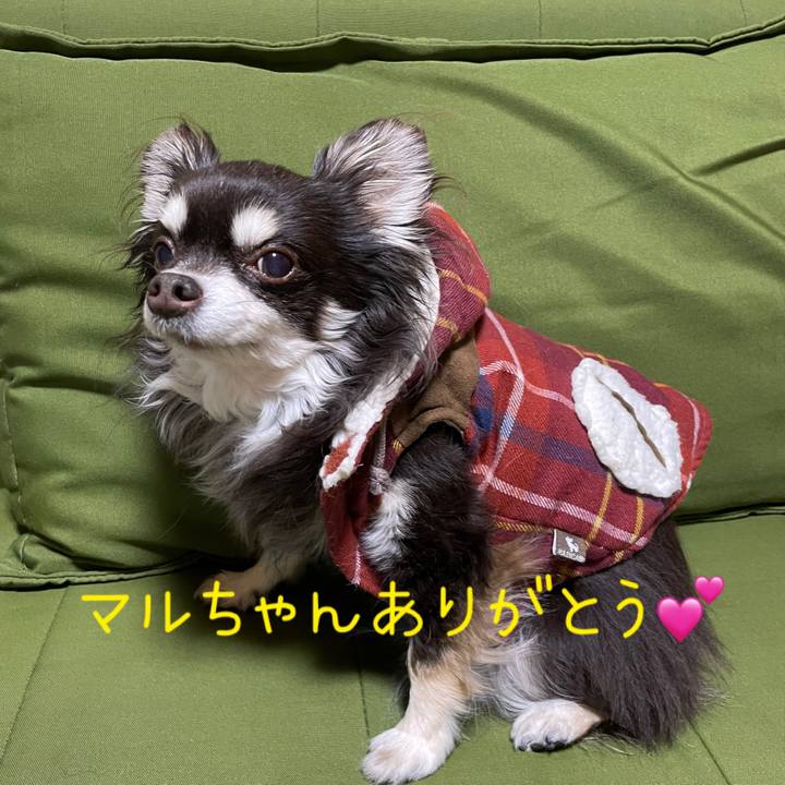 C0c20fea 4c62 46a4 a3a8 3484eb6b3fcb 1645680774054