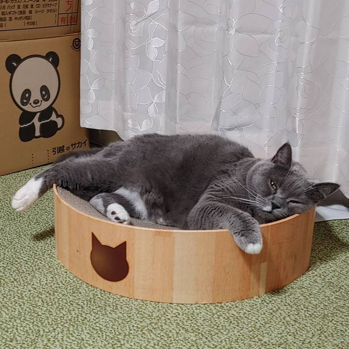 C0c2223c 423e 4a99 bcc6 1c82fc8882af 1627728283514