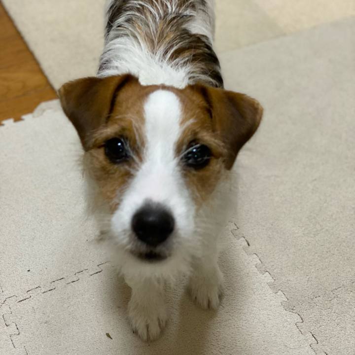 C0c2321a 4572 43eb b6b2 716ba9f52499 1635626769345