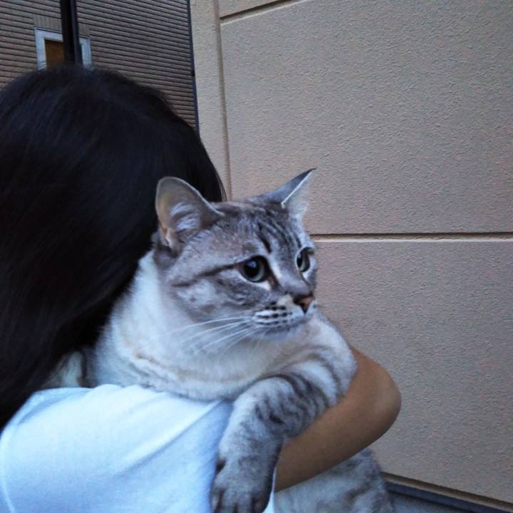 C0c2b229 6a0c 4f25 bcde 4870cf33e49b 1559990876707