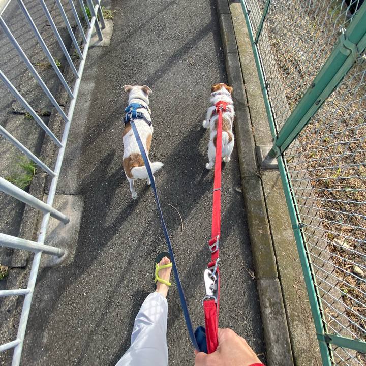 C0c2c8db 64dc 428e 943d 0045e938c066 1664107838556